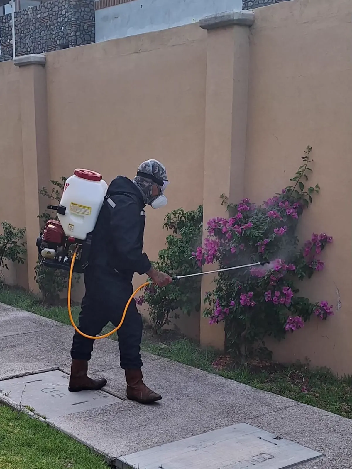 Técnico de Green Pro aplicando control de plagas en un jardín con equipo de mochila